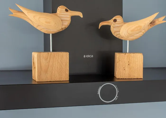 Vakantiehuis Domburg, Met Sauna